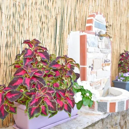 فيلة Casa Tramonto View Agios Gordios Corfu *